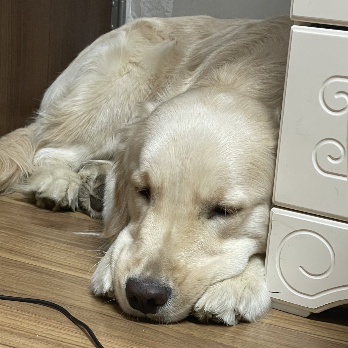 butterchive's tweet image. 넌 잘 때가 젤 기여워..