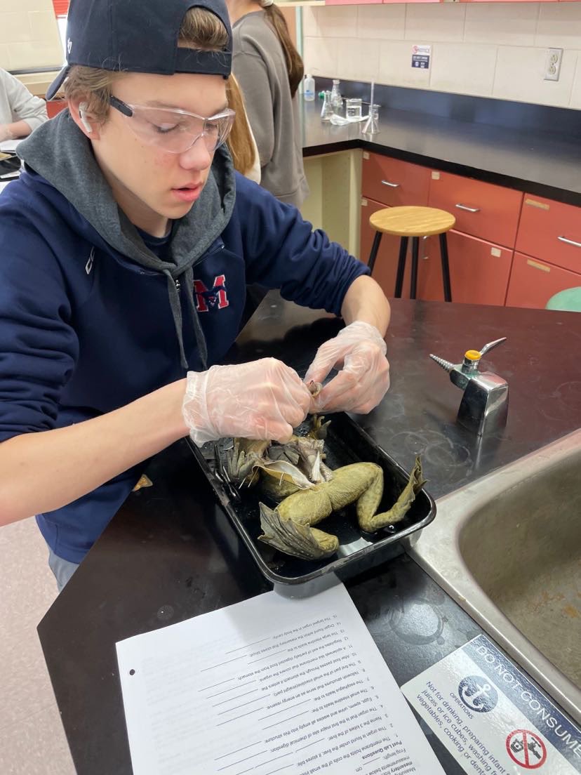 My oldest enjoying a good ol’ dissection . #billetingaway #performingsurgery #bio11
