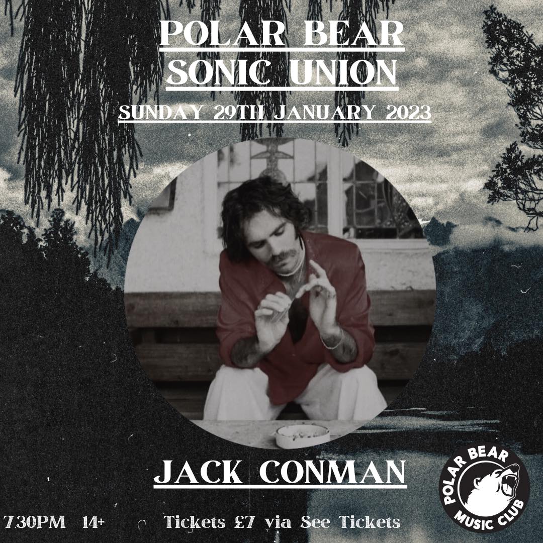 Polar Bear Music Club tweet media