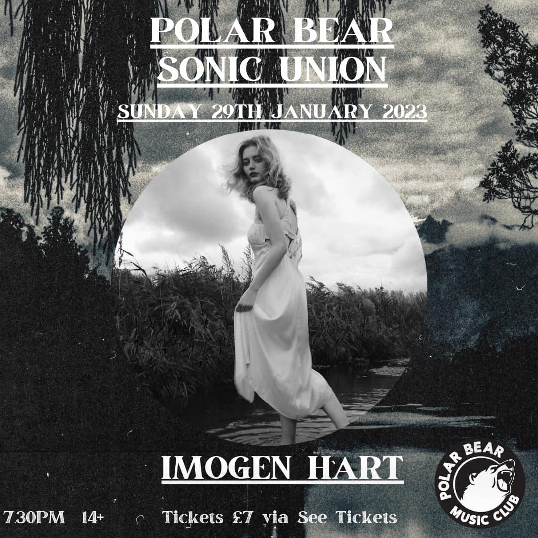 Polar Bear Music Club tweet media