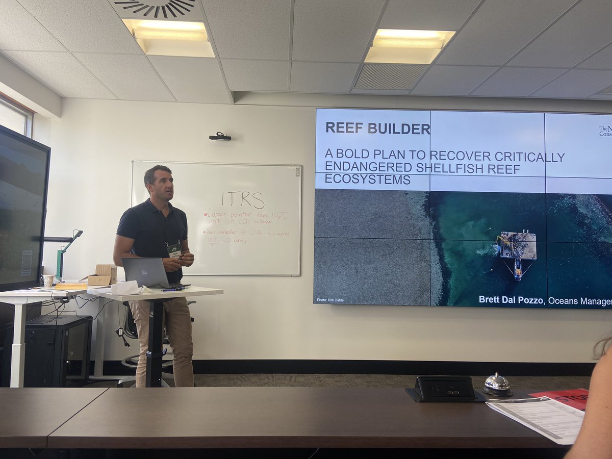 CamiBe90's tweet photo. Nice to see so much @nature_org work and their effort towards #shellfishreefs - glad to be raising money for this organisation through @CharityMiles #ITRS2023 https://t.co/sDOBjTSoOX
