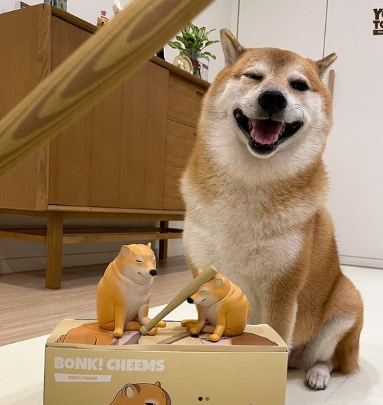 LungTied_SOL's tweet photo. 🎁3M $BONK Giveaway🎁

Hey_Wallet is working again let's do this

RT + Like❤️

FOLLOW ME🤝
I always give back to my followers who engage with my tweets DAILY if you're not following I'd love to get rich with you LFG 🫡

@hey_wallet send 10000 $BONK to the first 300 retweets https://t.co/75DsaF4Evh