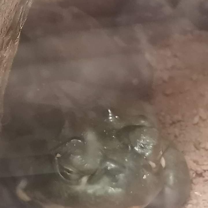 DrakeFowler18's tweet image. 