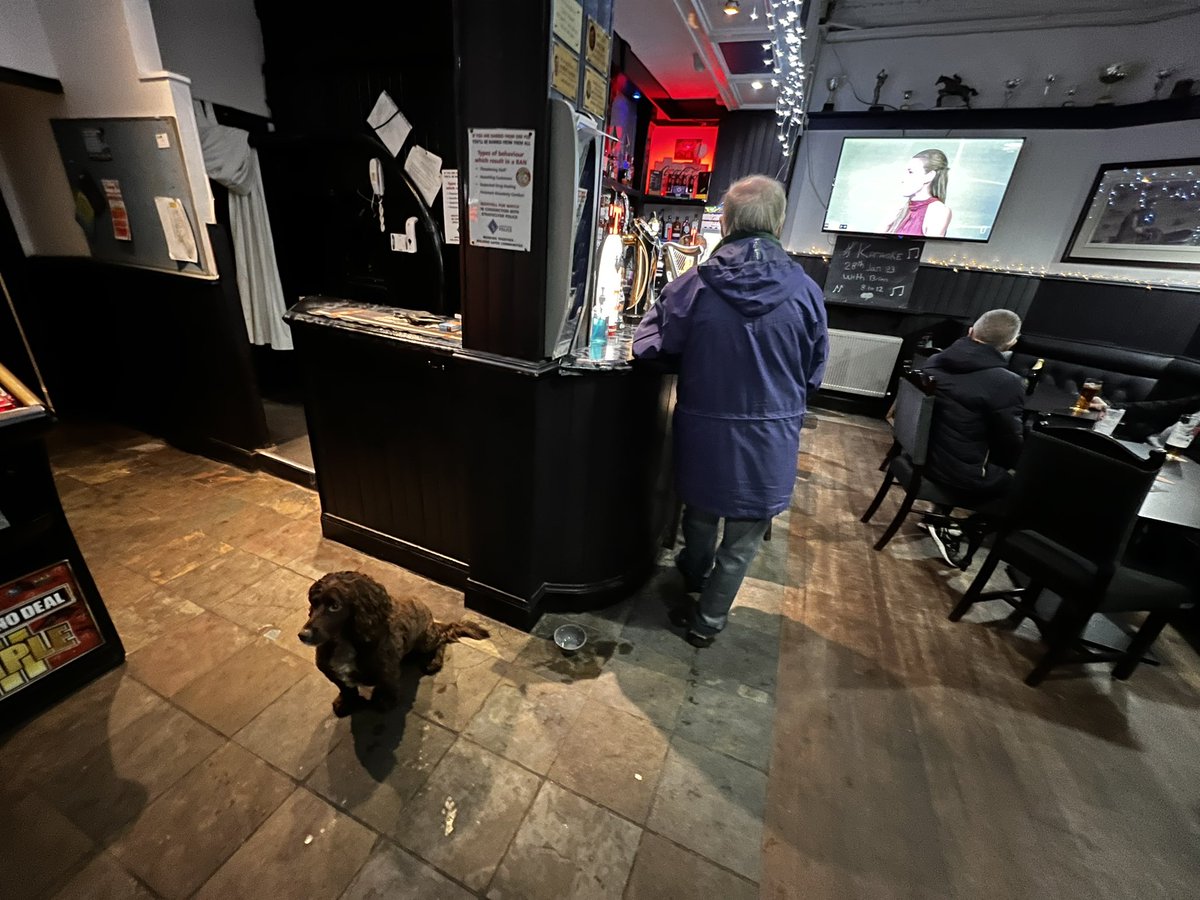 Tarka McSpaniel (@tarkamcspaniel) on Twitter photo My last night of treats etc. at the First & Last in #Maryhill My last night of treats etc. at the First & Last in #Maryhill