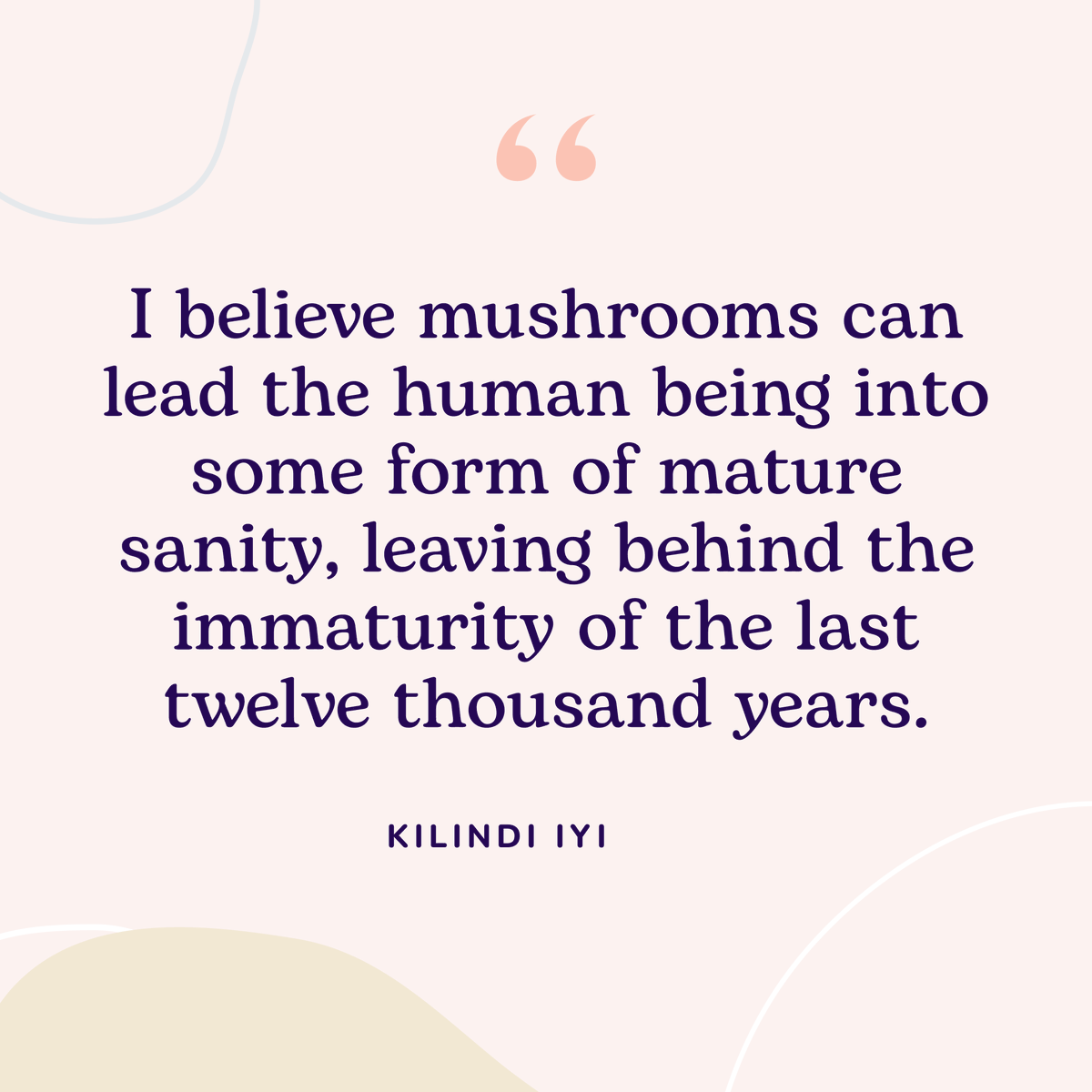 microdosing's tweet photo. https://t.co/qjSKAko629