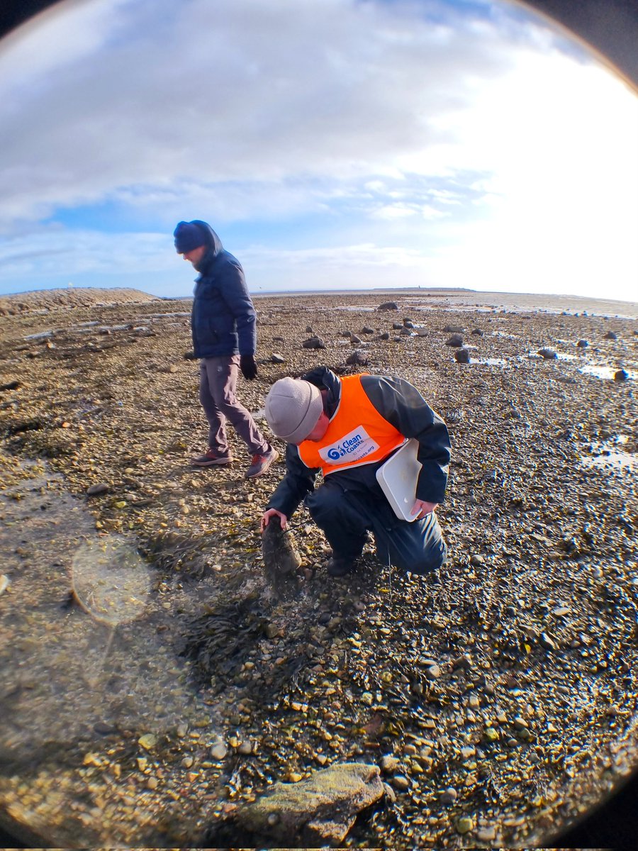 sandlarks's tweet photo. Rockpooling + beach clean. An Explore Your Shore morning with Galway Atlantaquaria. #GrattanBeach #Galway https://t.co/Y5SMn36Z5D