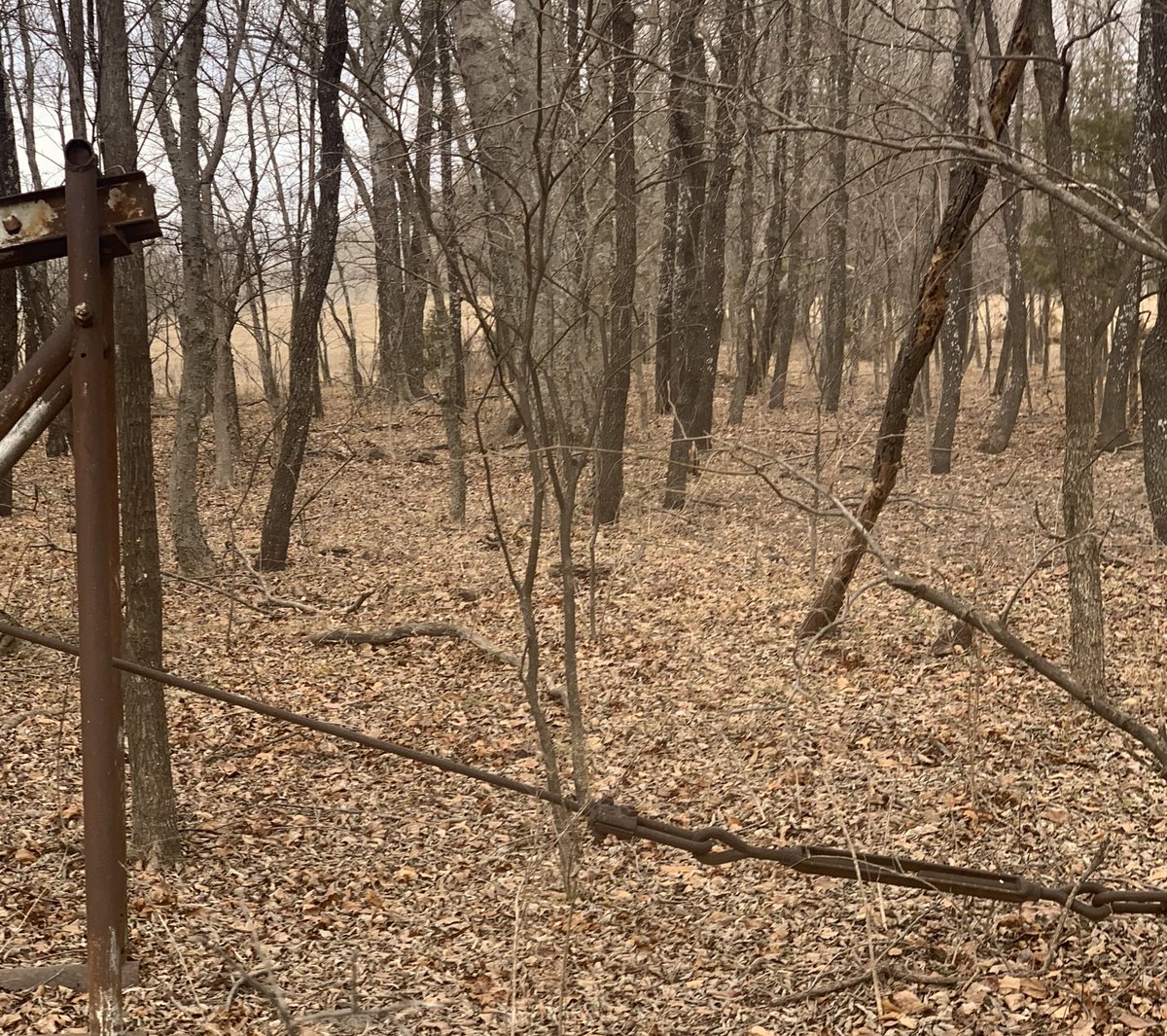 Jimbo_Wise's tweet photo. Oil lease for sale. Rework potential. Beautiful equipment. Needs some attention. 87.5% NRI, 100% WI. Make offer. 😎#OklahomaCrude #RodLine #CentralPower #OklahomaJacks https://t.co/R4JP8iWGII