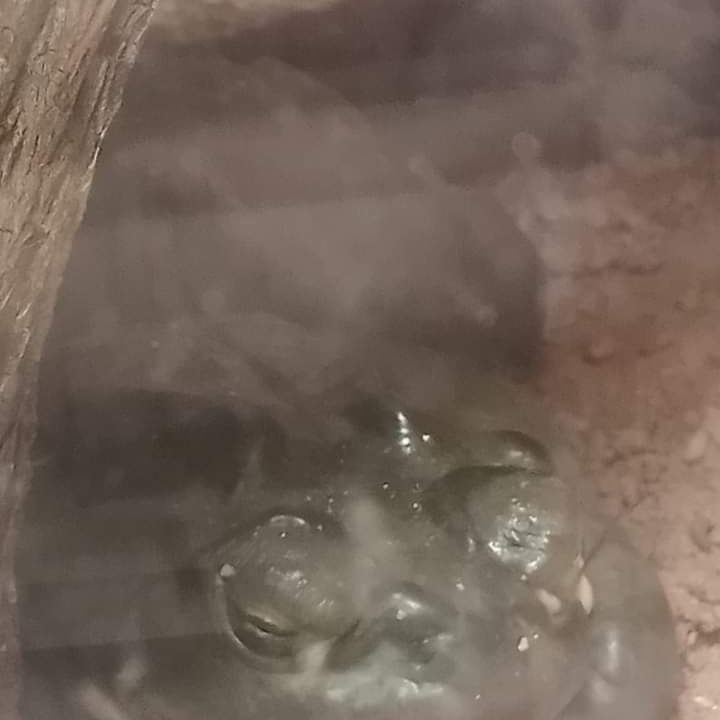 DrakeFowler18's tweet image. 