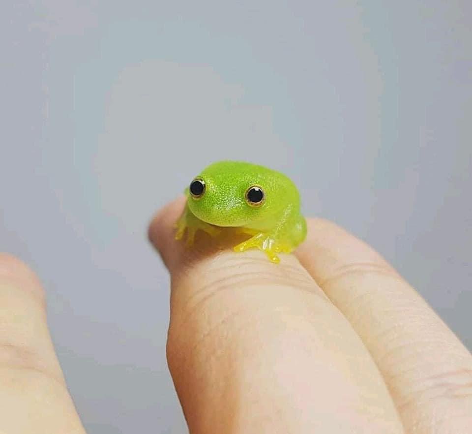 ForgetfuIPerson tweet media