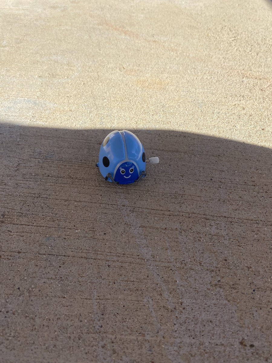 Baleigh Farrell tweet media