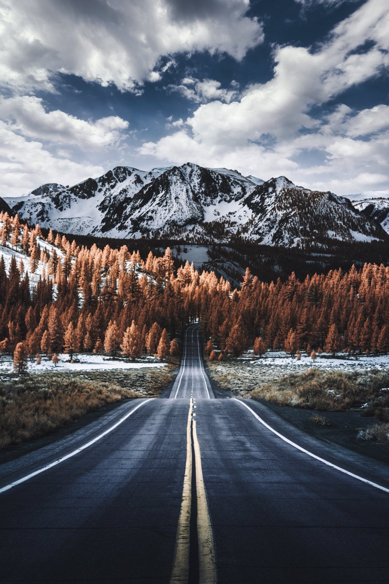 Bryan Minear tweet media