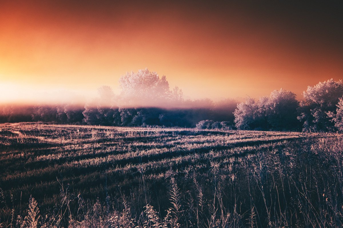 Bryan Minear tweet media