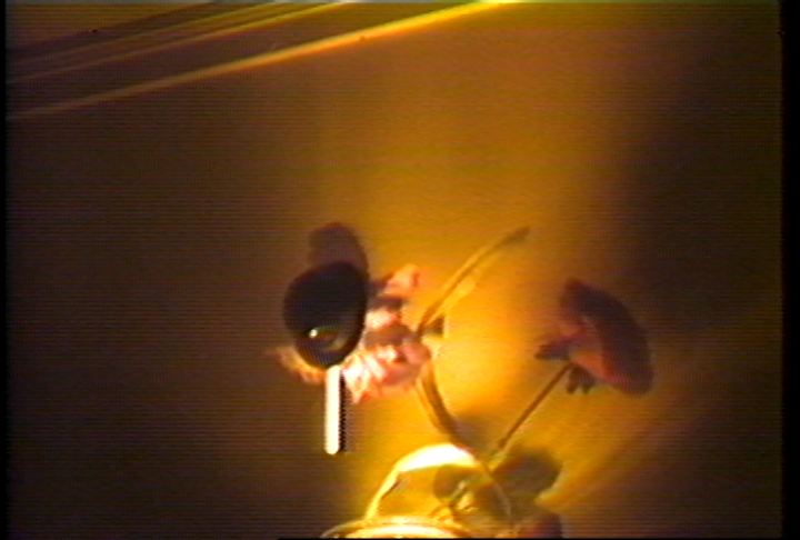 Harvard WingTip Collection tweet media