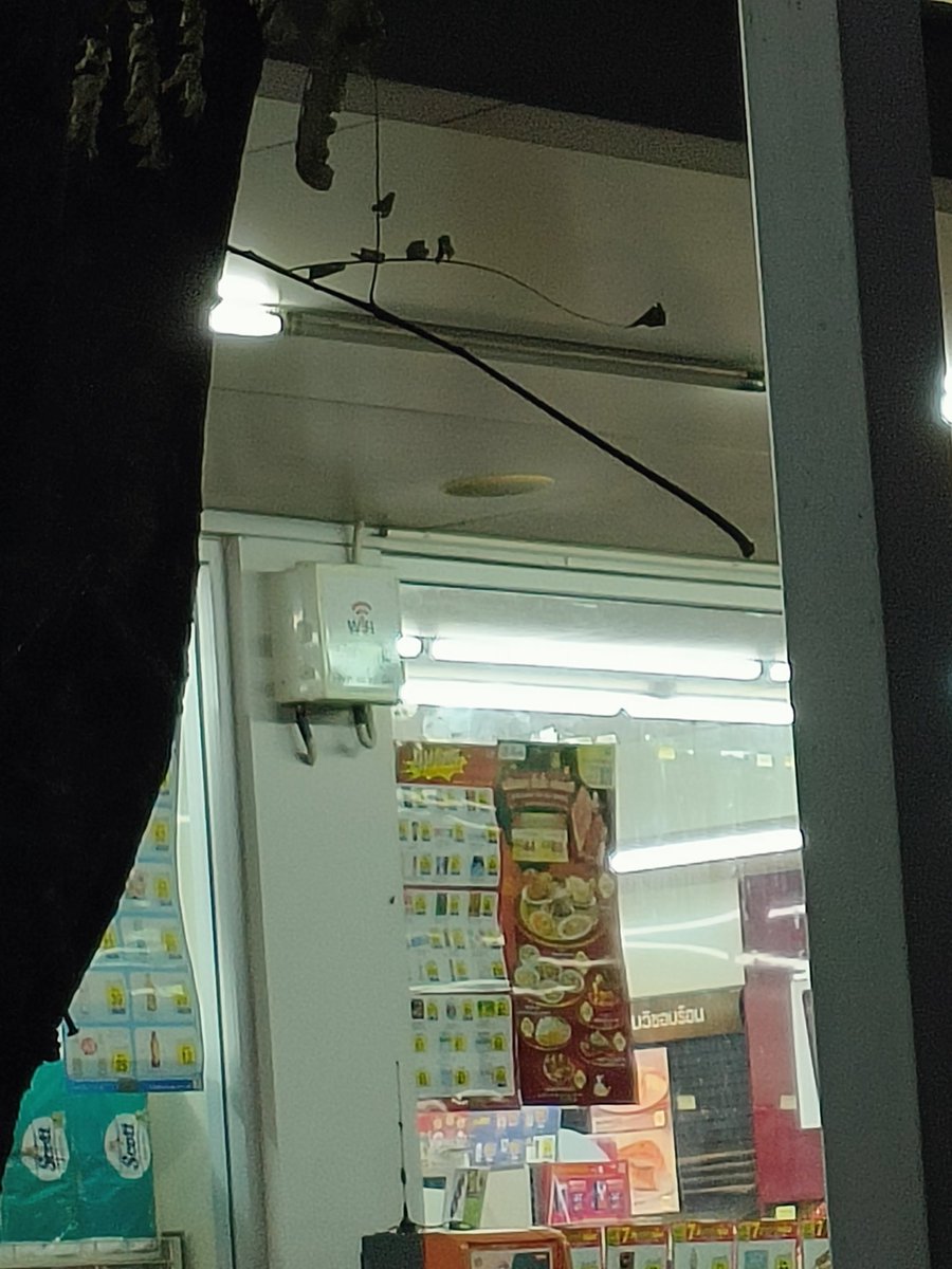 sumaoone's tweet photo. Wifiดี มี7-11 พักรถแป๊ป ดูข่าววนไป #กําแพงเพชร #truewifi https://t.co/HuL0yW5iN1
