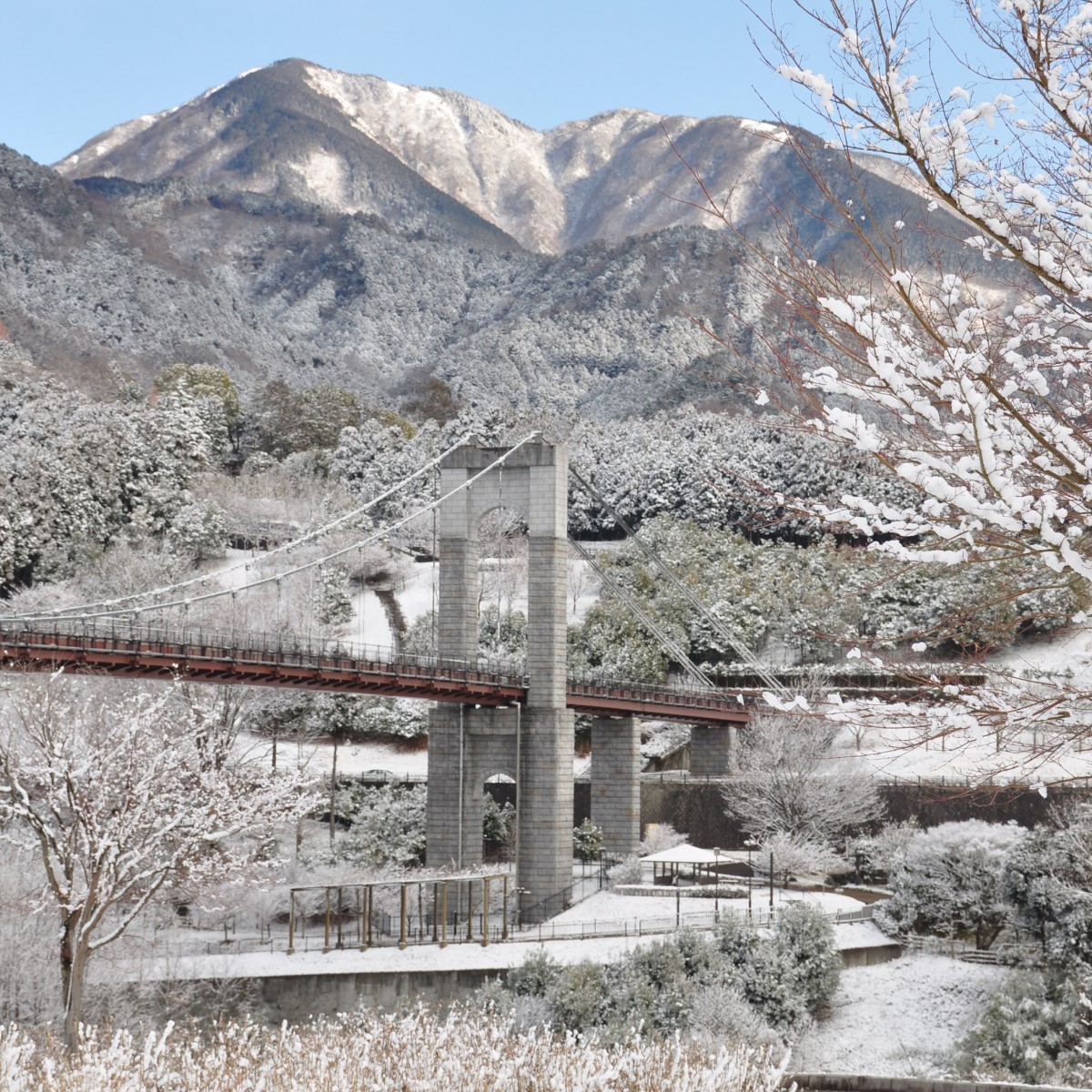 Look at the beautiful scenery in Kanagawa！
From January to February, snow accumulates at high altitude like Hakone and Tanzawa, and even in cities such as Yokohama, there are several days of snowfall. 
#cooljapan #instatravel #travelJapan #instajapan #Kanagawa #trip