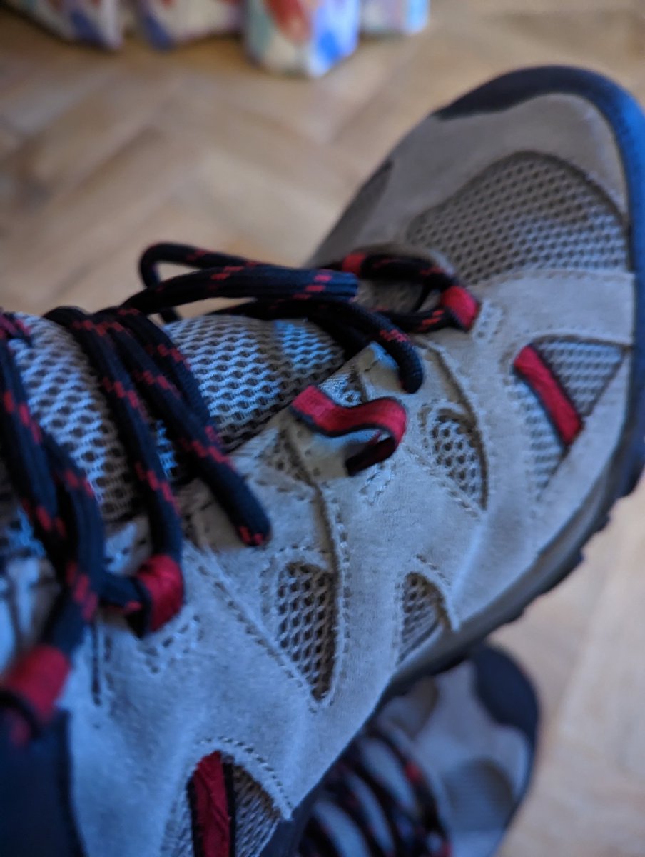 Hayden Sutherland tweet media