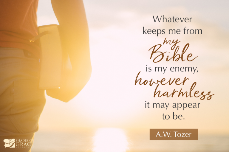 ShadesofGrace_'s tweet photo. “Whatever keeps me from my Bible is my enemy, however harmless it may appear to be. Whatever engages my attention when I should be meditating on God and things eternal does eternal injury to my soul.” — #Tozer

👉 https://t.co/8D8C8RXCsI by @nonebutJesus7 

#prayer #Bible https://t.co/m7pqvc4fGL
