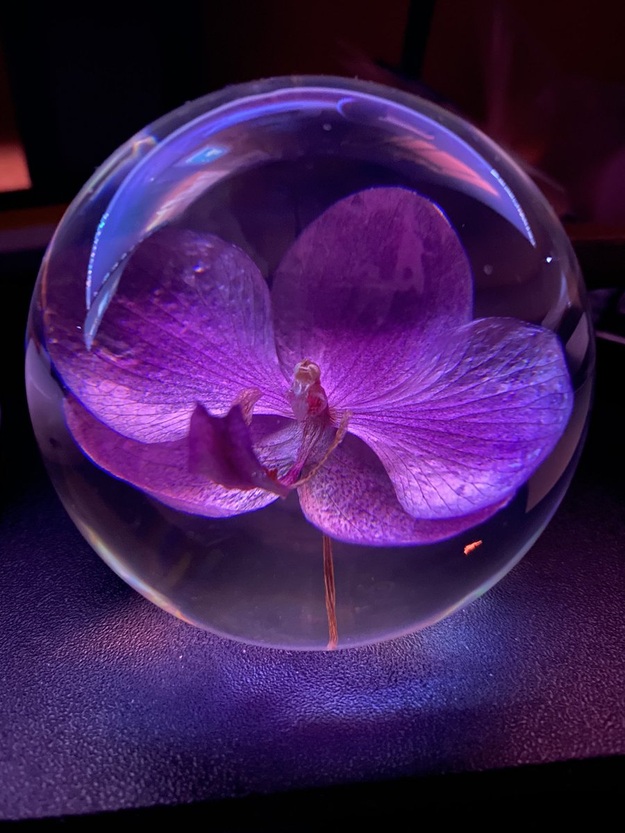 AytheaGlass's tweet photo. have a pretty picture for your enjoyment https://t.co/YPjyqYEt2c
