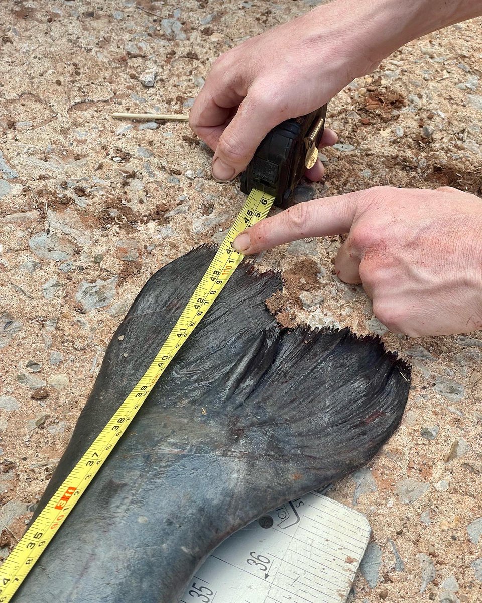 Never know what you’ll get until@you set nets…