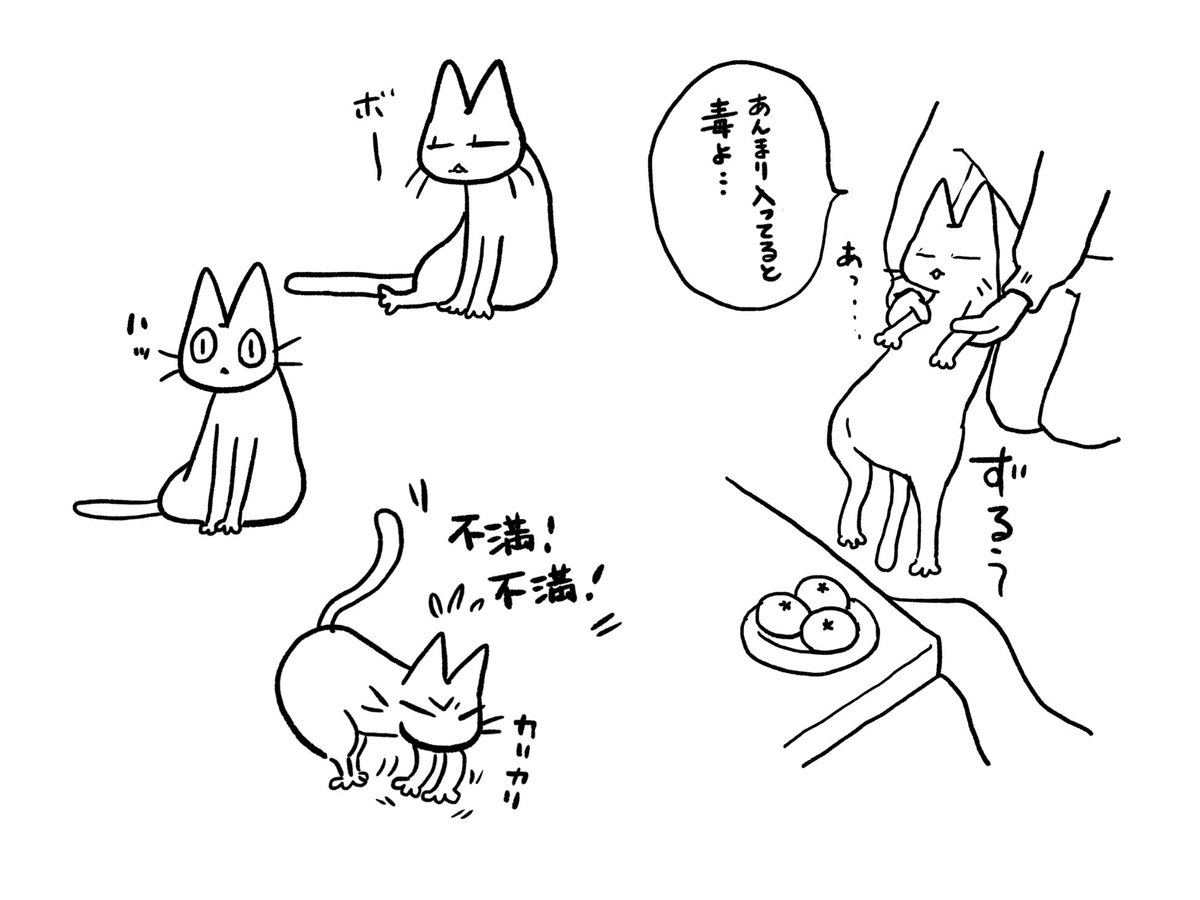 こたつから出した猫 