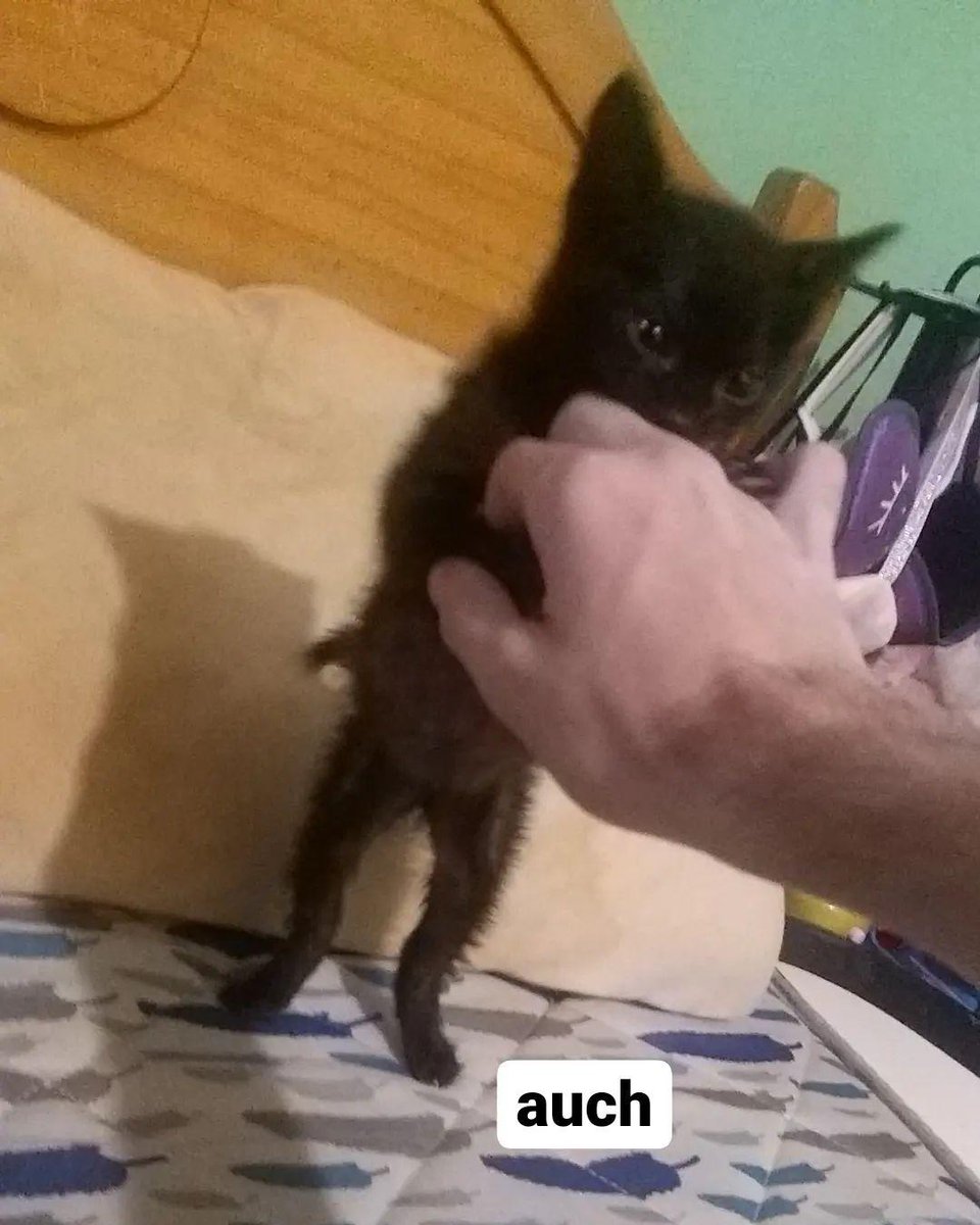 💎💎 tweet media