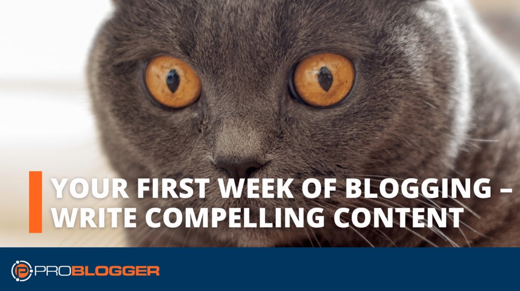 TerryWritesCopy's tweet photo. Your First Week of Blogging – Write Compelling Content https://t.co/6RXp6nGlaW