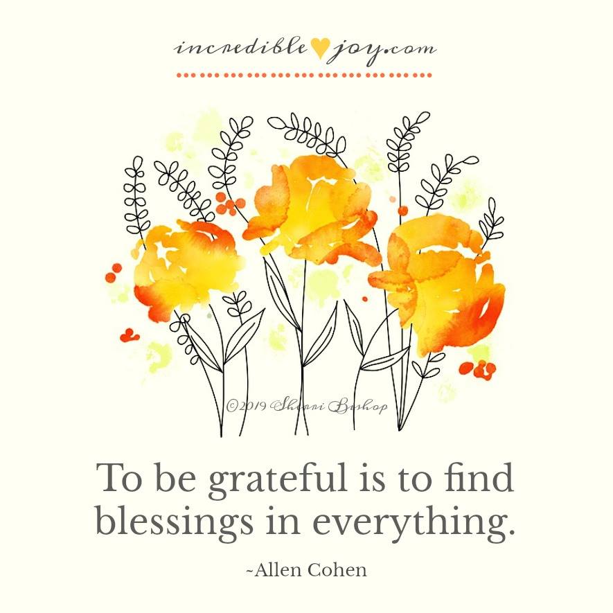 LifeWithJohn's tweet photo. To be grateful is to find blessings in everything. ~Allen Cohen …have a grateful day! ~ #Grateful https://t.co/0A6B72gJlx