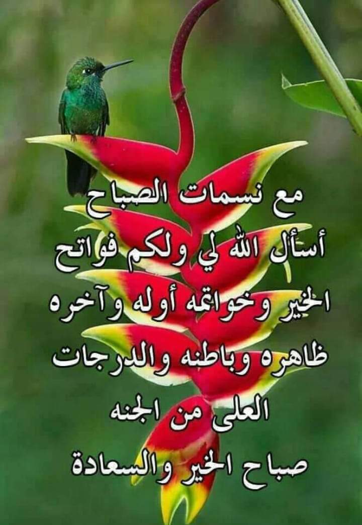 hrbyd5's tweet photo. @AlmmlkhJadh https://t.co/4HMbd8D87R