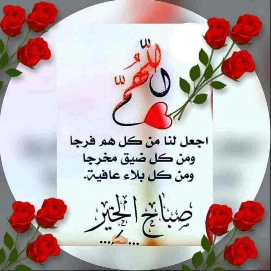 hrbyd5's tweet photo. @AlmmlkhJadh https://t.co/4HMbd8D87R