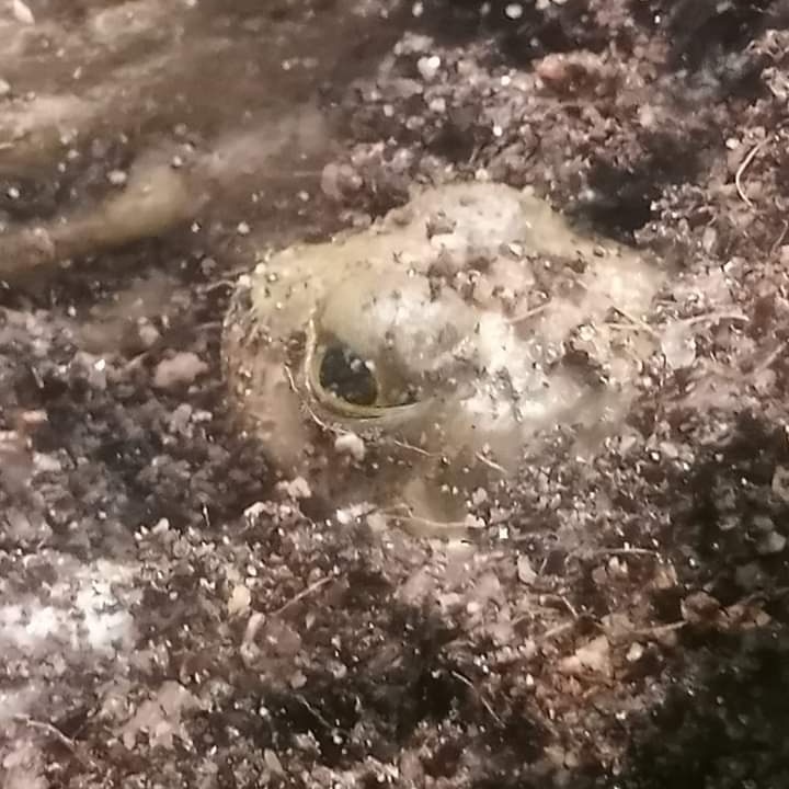 DrakeFowler18's tweet image. 