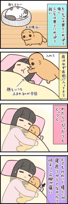 全身をゆだねてくる猫の重さは、実はかなりずっしりしている【連載】もふもふスコたん#260|ねこのきもちWEB MAGAZINE https://t.co/9Bjmj1dmV8 