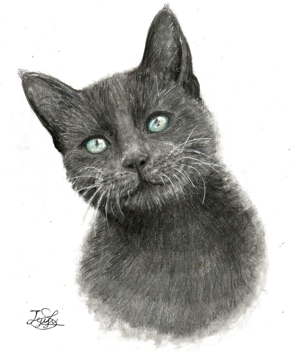 A black cat with green eyes 🐱💚

#drawing #portraitdrawing #traditionalart #traditionaldrawing #graphitedrawing #graphitepencil #graphitesketch #pencilart #charcoaldrawings #charcoalpainting #pencilportrait