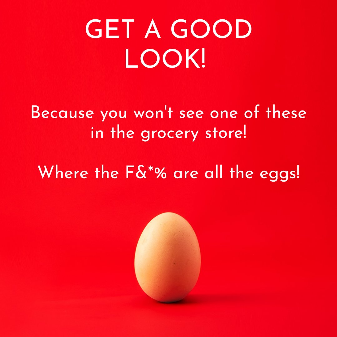 Where did all the eggs go? Good thing I'm wicked smart and know the answer... BIRD FLU, or avian influenza as me and my smart friends call it.