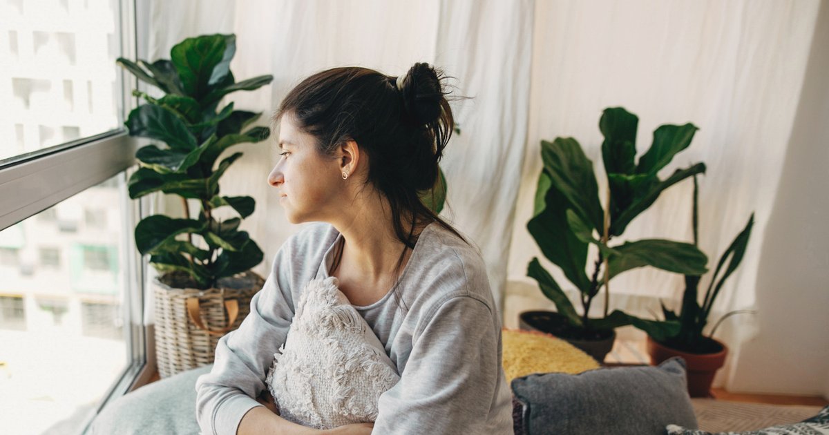 Woman_ru's tweet image. Многие создают уют в квартире не только с помощью мебели и аксессуаров, но и с помощью комнатных растений. Хорошо ли вы в них разбираетесь?

#домашниерастения

vk.cc/ckB87i