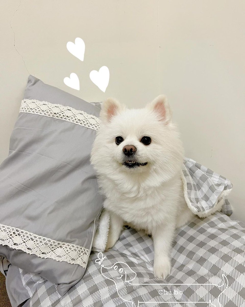 z4062296's tweet photo. 🥰 寶貝有乖乖睡我買的床 好棒唷💕🫶🏻 https://t.co/xiGlChPs1c