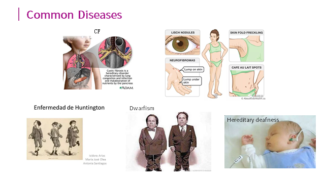 <a href="/YiKonGenomics/">YiKon Genomics</a>  Product Background: #CSK (Carrier Screening for Monogenic Inherited Diseases)