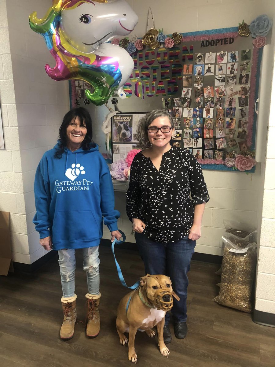 gatewaypets's tweet photo. After 2 years with us, Harbor finally went to her forever home last week  🥹  We are so grateful to everyone who never gave up on working through Harbor's behavioral challenges. While in our care, Harbor was a Unicorn Foster Squad participant, which is a program that provides... https://t.co/ZWoTDltsMi