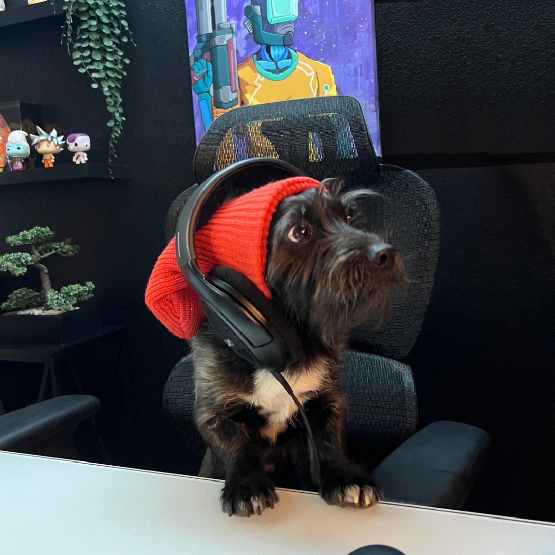 elijahintek's tweet photo. Just inked a deal with our first content creator: The Good Boi https://t.co/hqQAND8hPs