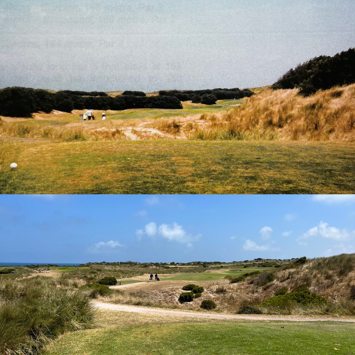 Port Fairy Golf Club tweet media