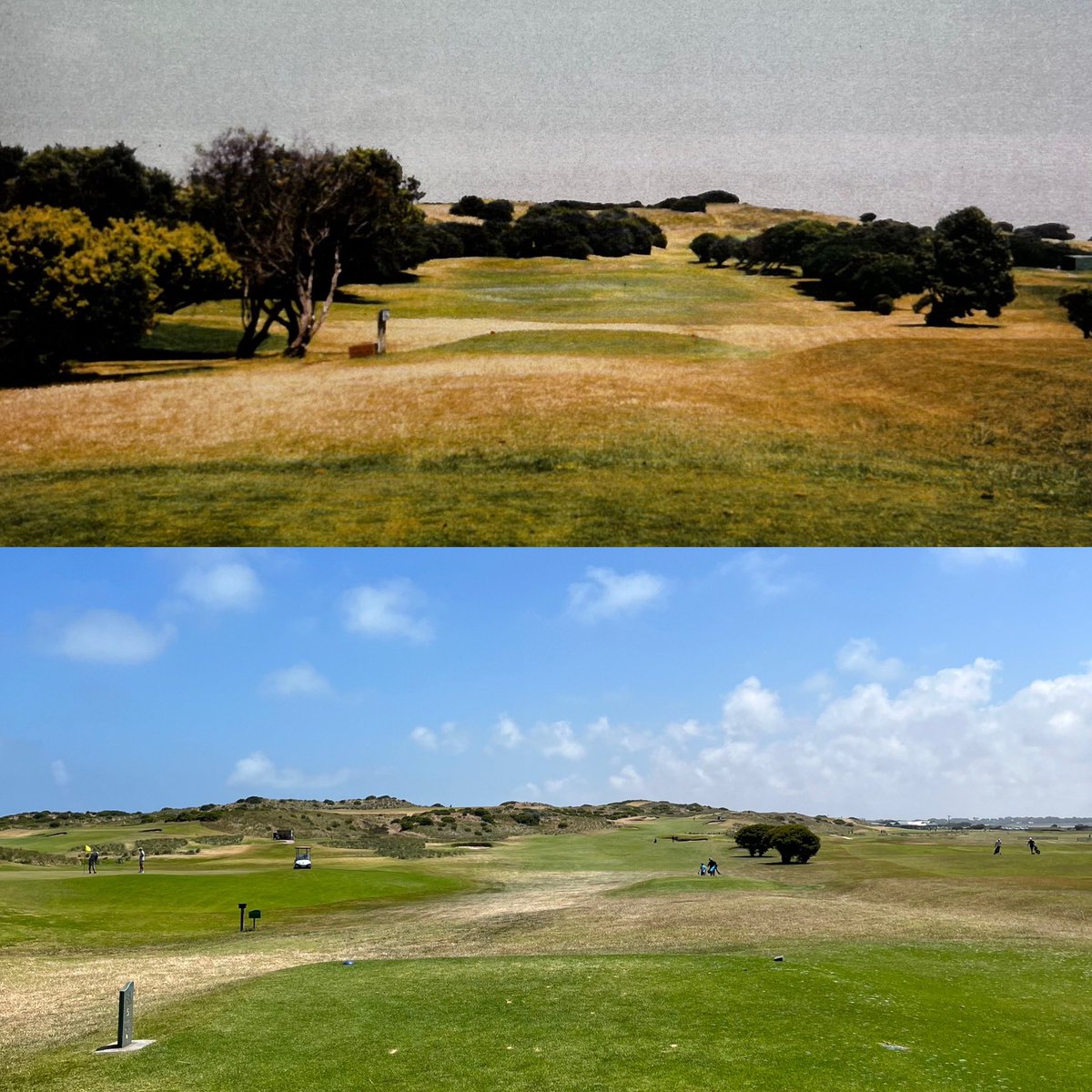 Port Fairy Golf Club tweet media