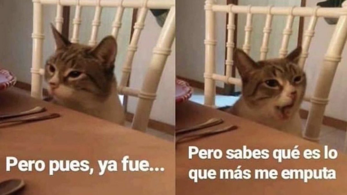 Memes_Shakira2's tweet photo. Shakira en Monotonía     //     Shakira en la Session #53 https://t.co/U9azHnbPed