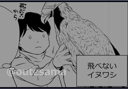 キルギス漫画は事実を淡々と描くだけでなく、わたしの感覚で感じたことも描いてと先日のzoom会議で改めて言われたので…
イヌワシの筋肉について感じたことも描いております。
特に飛べないイヌワシがいたことで、狩りをしているイヌワシとの比較もできたことはわたしにとって幸運でした。