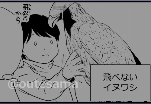キルギス漫画は事実を淡々と描くだけでなく、わたしの感覚で感じたことも描いてと先日のzoom会議で改めて言われたので…
イヌワシの筋肉について感じたことも描いております。
特に飛べないイヌワシがいたことで、狩りをしているイヌワシとの比較もできたことはわたしにとって幸運でした。 
