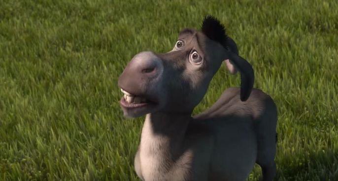 pouco se fala sobre a NECESSIDADE de fazerem um filme solo do burro.