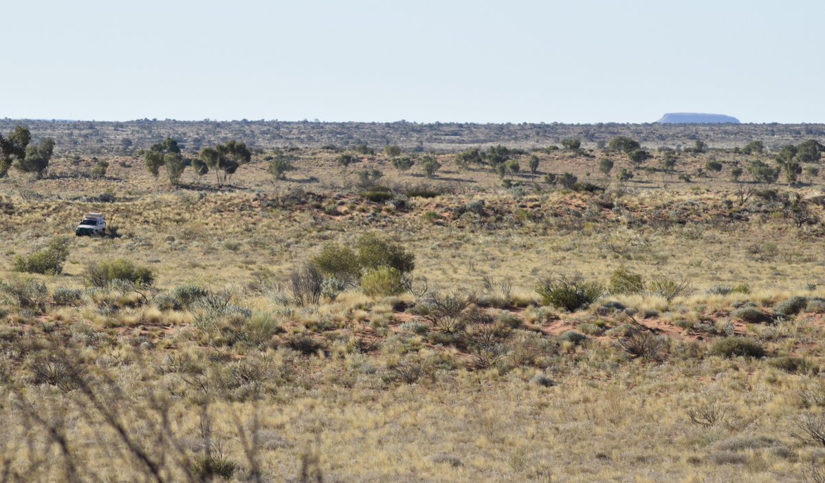 outbackyonder's tweet photo. Heading south from Mount Webb, following explorer David Carnegie's Route #outbackyonder #gibsondesert #westernaustralia #dwc #davidwynfordcarnegie https://t.co/LJ38zzTfcl