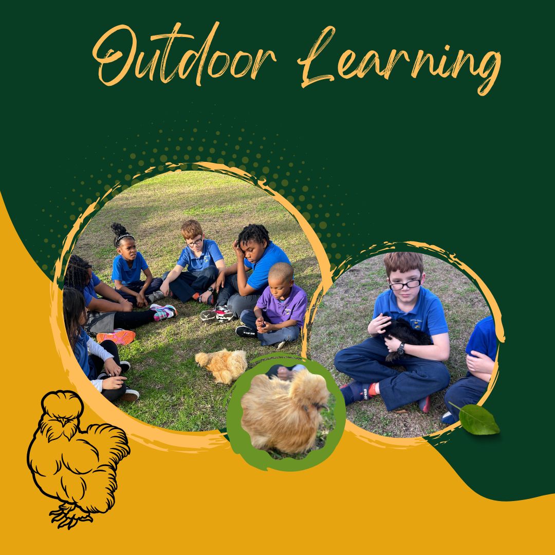 Washington Elementary S.T.E.M. School (@stem_washington) on Twitter photo WESS scholars enjoy the weather and our school flock. #stemeducation #stemchicks #Lagniappelearning <a href="/JPschools/">Jefferson Parish Schools</a> WESS scholars enjoy the weather and our school flock. #stemeducation #stemchicks #Lagniappelearning <a href="/JPschools/">Jefferson Parish Schools</a>