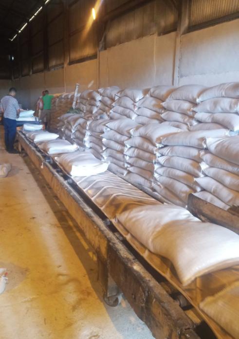 🎋Se carga azúcar crudo en el central Jesús Rabí para la canasta básica de la provincia #Matanzas, producción de calidad para cumplir con el compromiso de nuestro pueblo.
#MatancerosEnVictoria
#CubaViveYTrabaja #GobMtz
<a href="/SuselyMorfaG/">Susely Morfa González</a> <a href="/gpppmatanzas/">Gobierno Provincial del Poder Popular en Matanzas</a>