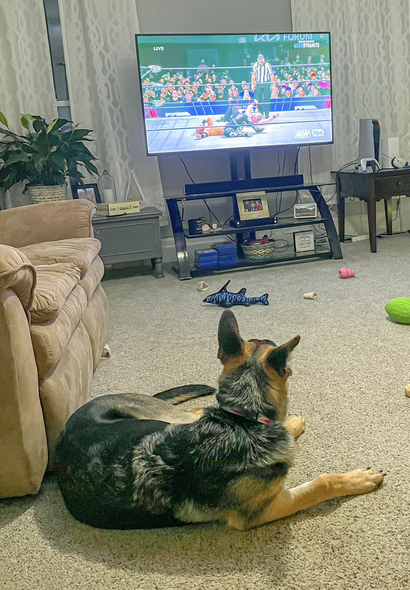 csd76's tweet photo. Kota’s cheering for Jon Moxley tonight! 💪🏻❤️ #AEWDynamite https://t.co/s3tHlIJJg7