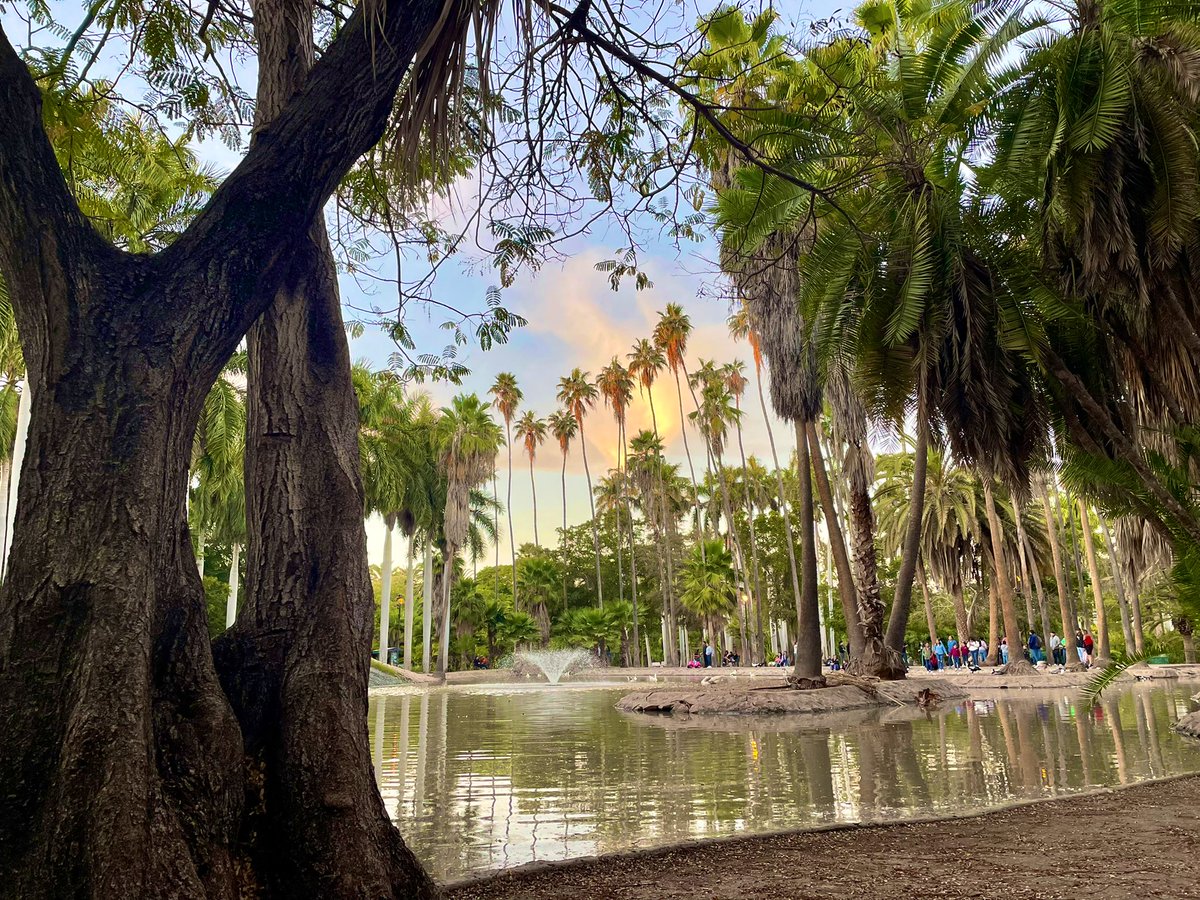 Así de inspirador es el lugar donde vivo 🍀🙌 #LosMochis #Ahome #Sinaloa 

#Ahomedesconocido #mexicodesconocido 
#descubreAhome
#Turismo