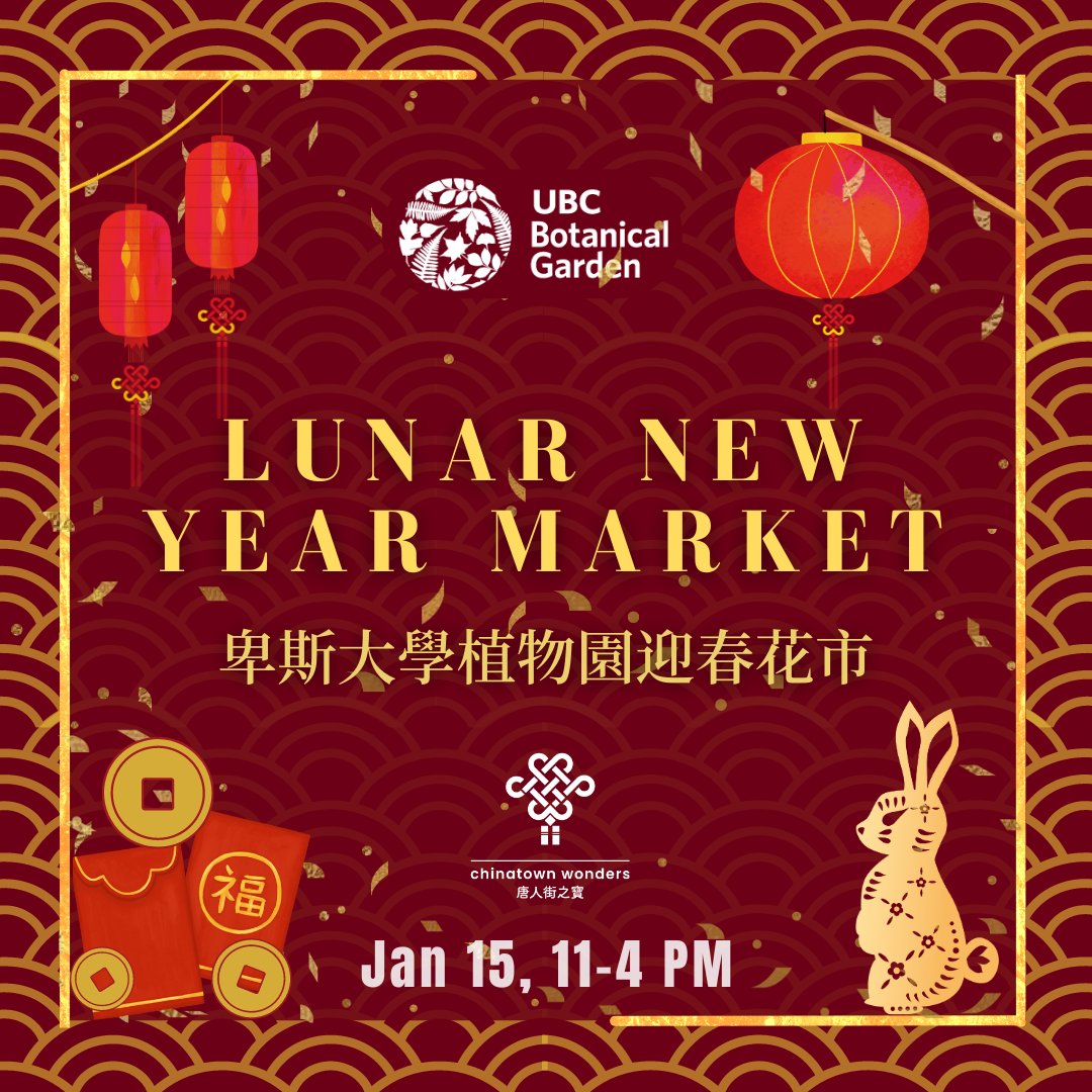 Chinatown Wonders tweet media